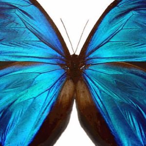 Meet your Posher, Tabitha